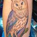 Tattoos - bright owl with arrows - 86622